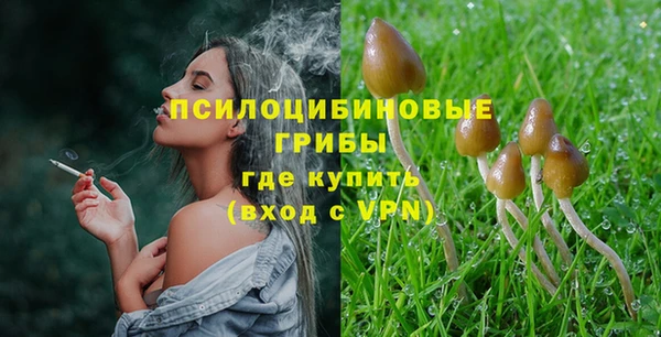 круглые Снежногорск