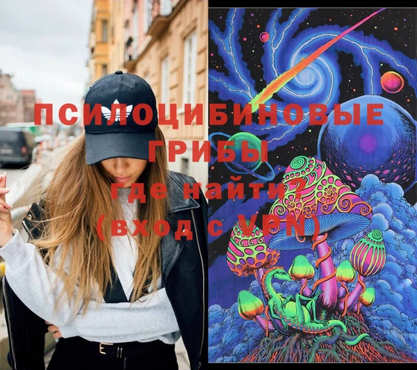 ГАЛЛЮЦИНОГЕННЫЕ ГРИБЫ Слюдянка