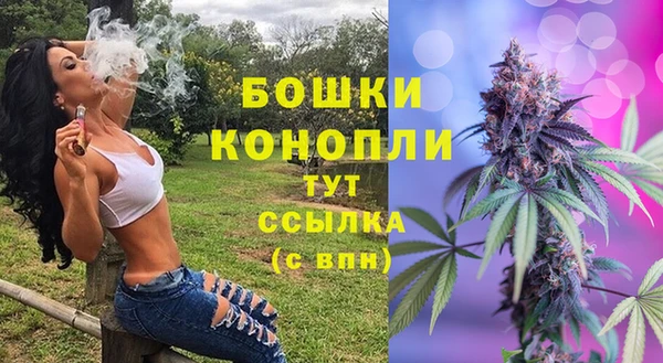 ГАЛЛЮЦИНОГЕННЫЕ ГРИБЫ Слюдянка