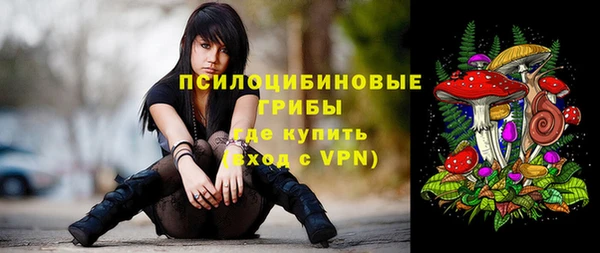 ГАЛЛЮЦИНОГЕННЫЕ ГРИБЫ Слюдянка