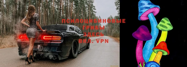 ГАЛЛЮЦИНОГЕННЫЕ ГРИБЫ Слюдянка
