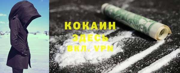 ГАЛЛЮЦИНОГЕННЫЕ ГРИБЫ Слюдянка
