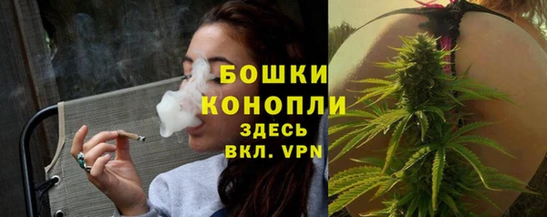 ГАЛЛЮЦИНОГЕННЫЕ ГРИБЫ Слюдянка